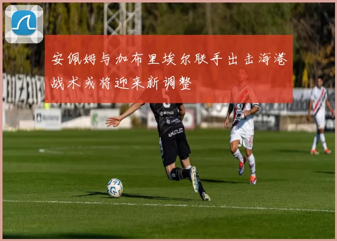 安佩姆与加布里埃尔联手出击海港战术或将迎来新调整